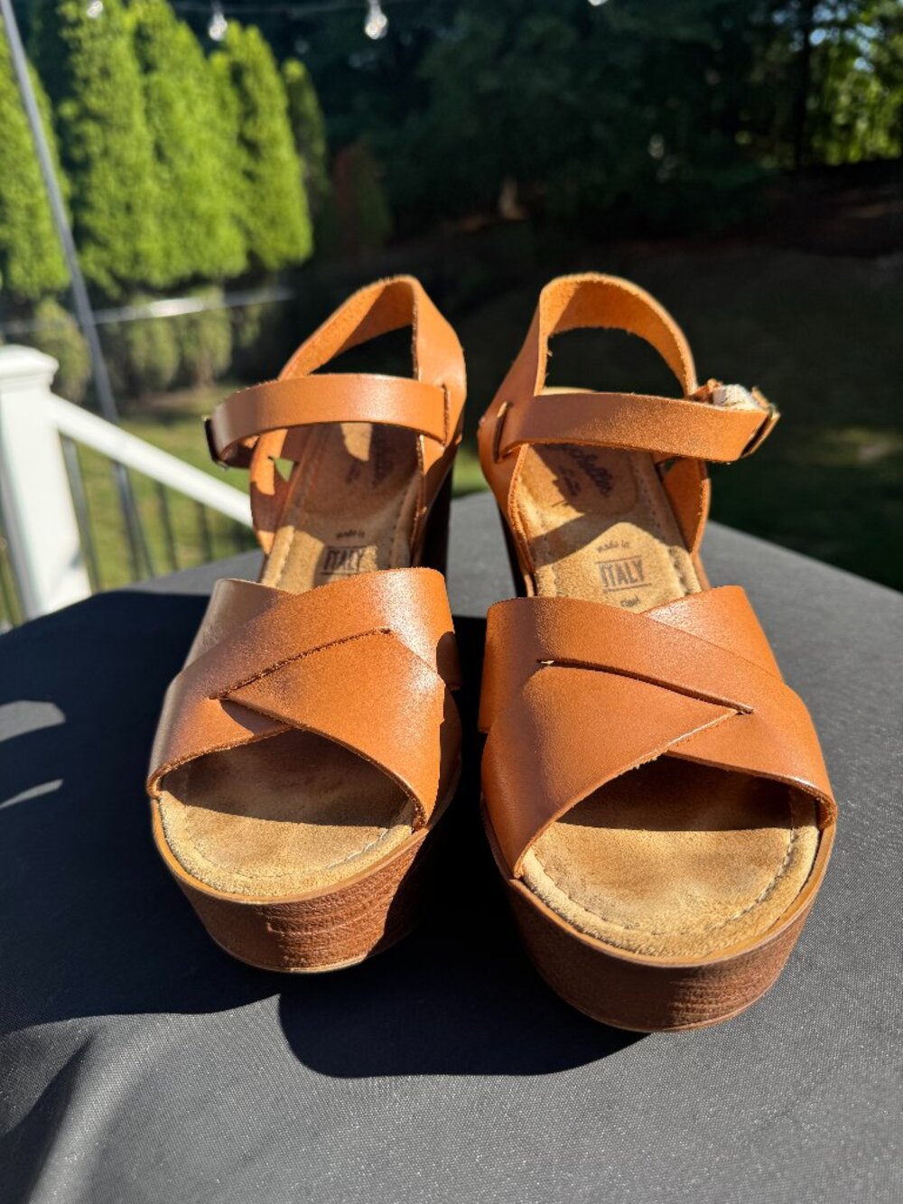 Seychelles platform wedge sandals